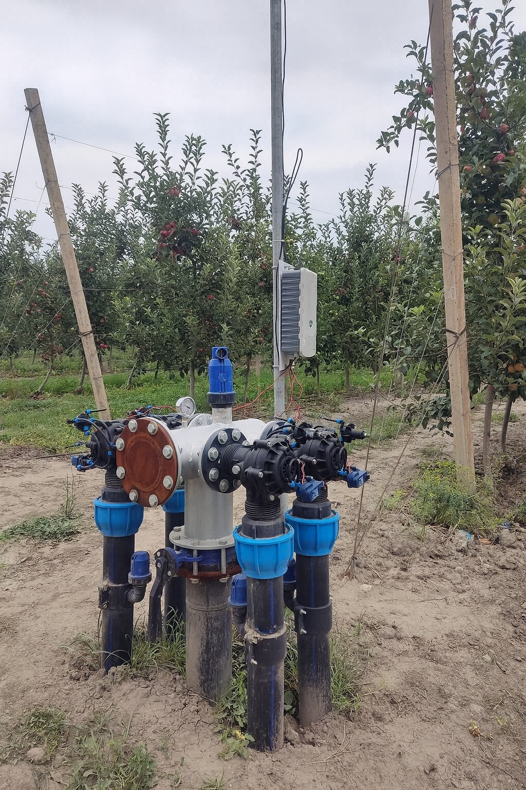 Qusar 30Ha qarışıq meyvə bağı image